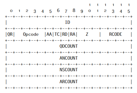 DNS header structure