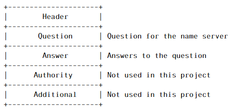DNS packet structure